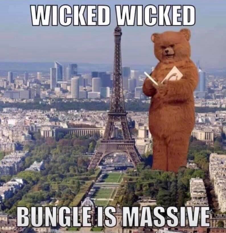 How big is Bungle?